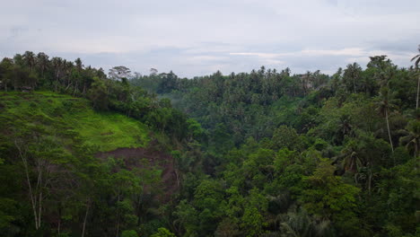 Drone-flying-over-Ubud-lush-jungle,-Bali-in-Indonesia
