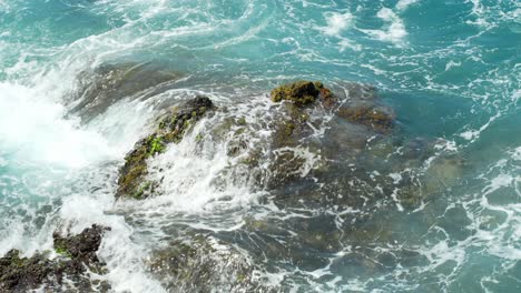 Tropical-ocean-water-flow-over-mossy-sea-rock,-slow-motion