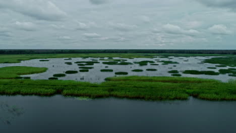 Aerial-Flooded-lake,-green-vegetation,-people-on-kayak-water-sport-pedal-in-rural-area