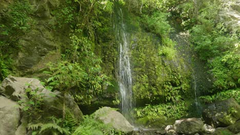Graceful-cascade-in-New-Zealand,-a-small-yet-mesmerizing-waterfall