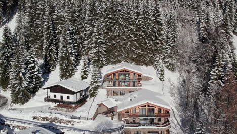 Modernas-Casas-De-Vacaciones-En-Las-Estribaciones-De-Las-Montañas-Con-Bosques-De-Pinos-En-Langau,-Austria.