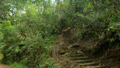 Stone-stairs-winding-up-the-hill-out-of-sight-surrounded-with-jungle-rainforest-in-Cu-Lan-Folk-Village,-Vietnam---tilt-up