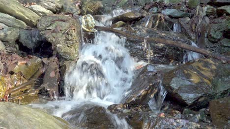 Some-litter-in-a-rocky-streambed