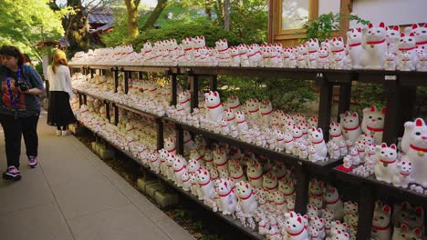 Slow-motion-pan-over-lucky-cat-dolls-as-tourists-visit-popular-temple
