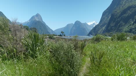 Scenic-Milford-Sound-with-gentle-wind-blown-grass-in-the-foreground,-capturing-the-serene-beauty-of-nature