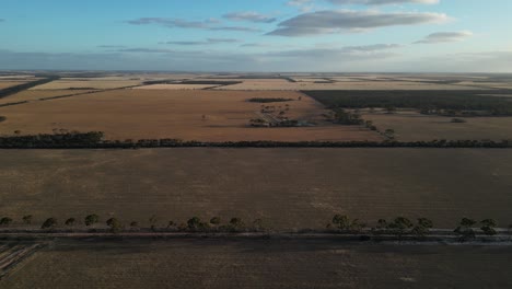 Wheat-fields-in-Esperance-area,-Western-Australia