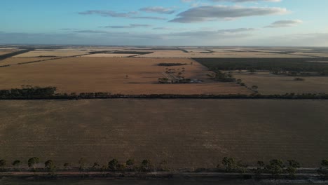 Aerial-panorama-view-of-countryside-in-Esperance-Area-with-wheat-fields-during-dusk-in-Western-Australia