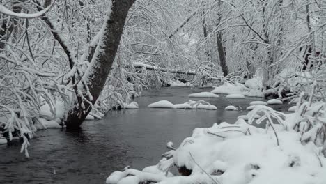 The-wild-frozen-small-river-in-the-winter-wood-at-snow-storm