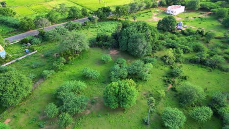 Lush-green-Indian-landscape-with-trees,-rural-roads,-and-buildings,-daylight,-and-aerial-view