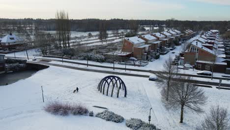 Aerial-of-a-woman-walking-her-dog-in-a-snow-covered-park-in-winter