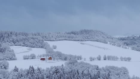 Cabañas-Con-árboles-Forestales-Cubiertos-De-Nieve-Durante-El-Invierno-En-Indre-Fosen,-Noruega---Toma-Aérea