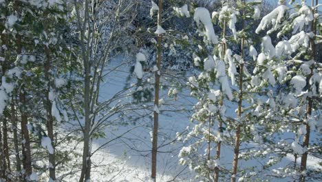 POV-ski-lifts-snow-covered-slopes-trees-at-ski-resort-panning-left