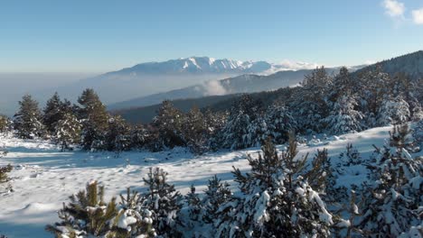 Langsamer-Drohnenschuss,-Schneebedeckter-Wald,-Berg-Olymp-Hintergrund,-Winter