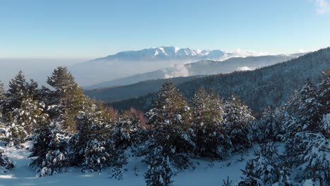 Orbit-Drohne,-Schneebedeckte-Waldbäume,-Winterberg,-Olymp,-Hintergrund,-Sonniger-Tag,-Blauer-Himmel