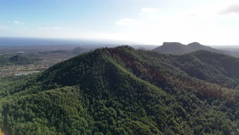 Luftaufnahme-Einer-üppigen-Hügellandschaft-Mit-Grüner-Vegetation-In-Der-Region-Sant-Salvador-Auf-Mallorca,-Spanien
