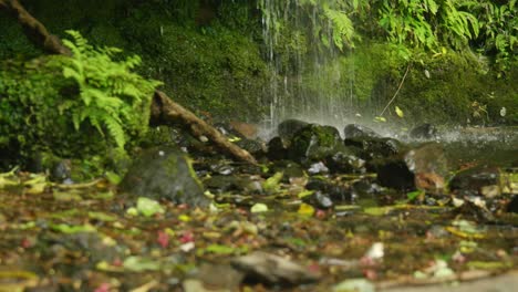 Ruhige-Wasserszene-Am-Fuße-Eines-Sanften-Neuseeländischen-Wasserfalls