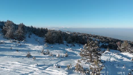 Drone-Rápido-Sobre-El-Bosque-De-La-Cresta-De-La-Montaña-Cubierto-De-Nieve-Inclinado-Hacia-Abajo-Puesta-De-Sol-De-Invierno