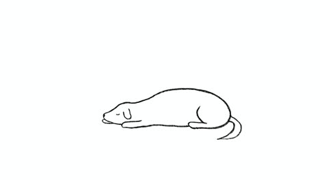 Lindo-Perro-Durmiendo-Profundamente,-Animación-Dibujada-En-2d
