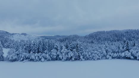 Mit-Schnee-Bedeckter-Nadelwald-In-Indre-Fosen,-Norwegen---Drohnenaufnahme-Aus-Der-Luft
