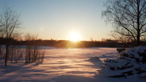 Going-toward-bright-winter-sun-over-forest,-illuminate-snowy-backyard-and-field
