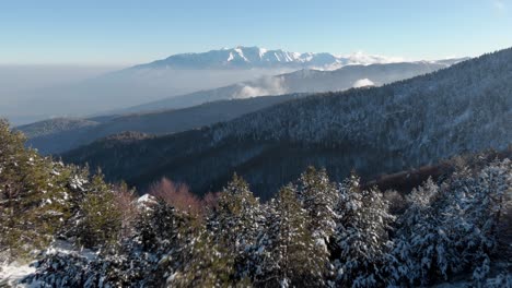 Langsame-Luftaufnahme-über-Schneebedeckten-Waldbäumen,-Berg-Olymp-Hintergrund