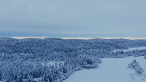 Vista-Aérea-Del-Paisaje-Invernal-Con-Bosques-Y-Cabañas-Cubiertas-De-Nieve-En-Indre-Fosen,-Noruega---Disparo-De-Drones