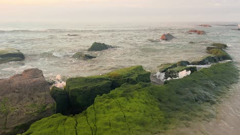 Waves-crashing-into-algae-covered-rocks-on-a-peaceful-beach