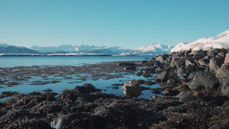 Ocean-view-in-Norway-with-snowy-mountains-in-the-distance-under-a-clear-blue-sky,-filmed-from-rocks