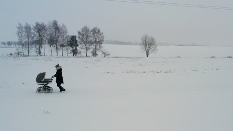 Single-mother-push-baby-carriage-through-dense-snow-on-road,-overcast-winter-day