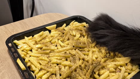 Hand-seasoned-french-fries-in-a-tray-with-a-cats-tail-above-in-motion,-kitchen-setting