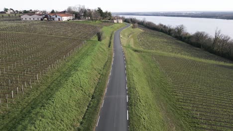 Road-amidst-Bayon-sur-Gironde-vineyards,-France---aerial