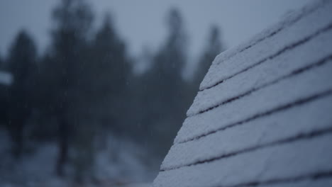 Schneefall-Auf-Einem-Dach-Inmitten-Der-Colorado-Mountains-Im-Winter,-Mit-Schneebedeckten-Bäumen-Im-Hintergrund