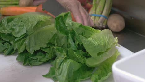 Up-close-shot-of-chef-hands-with-sharp-knife-cutting-lettuce
