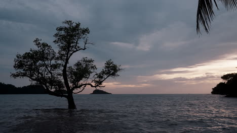Solitary-tree-in-ocean-waves-at-sunset,-Koh-Chang-Island,-Thailand,-with-dark-clouds-and-horizon-view