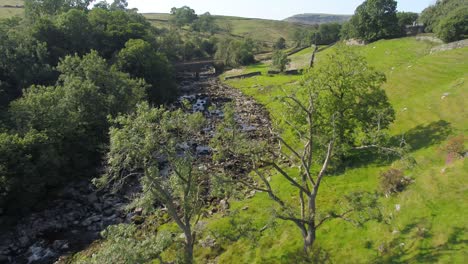 Drone-footage-in-rural-Yorkshire,-UK-in-summer,-flying-close-over-a-tree-and-slowly-into-a-shallow-river-valley-over-the-river-and-river-bed,-stopping-at-a-railway-bridge-with-hills-in-the-distance