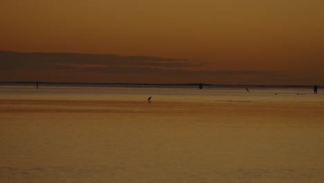 Einfache-Aufnahme-Des-Orangefarbenen-Leuchtens-Am-Himmel-Direkt-Nach-Sonnenuntergang-über-Dem-Alpenglühen-Des-Ruhigen-Wassers-Am-Pazifischen-Ozean-In-Oahu,-Hawaii