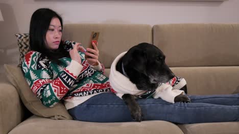 Asian-woman,-smartphone-in-hand,-shares-the-couch-with-her-senior-black-labrador,-both-adorned-in-festive-Christmas-sweaters