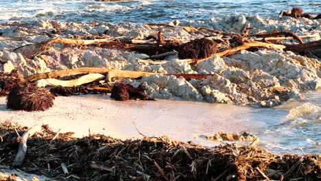 Washed-up-driftwood-and-river-debris-on-beach-after-coastal-storm