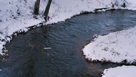 The-river-Gauja-flows-through-the-snow-covered-forest-in-winter