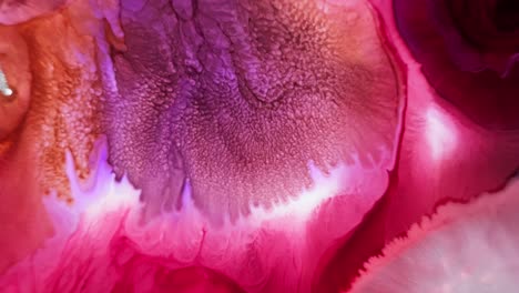 Pink-and-purple-ink-diffusion-in-water-with-intricate-fractal-patterns,-macro-shot