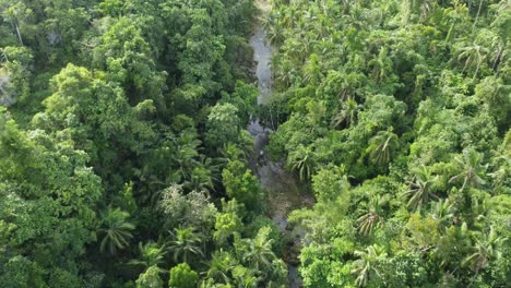 A-flight-following-the-river-through-dense-jungle,-dive-into-this-green-paradise