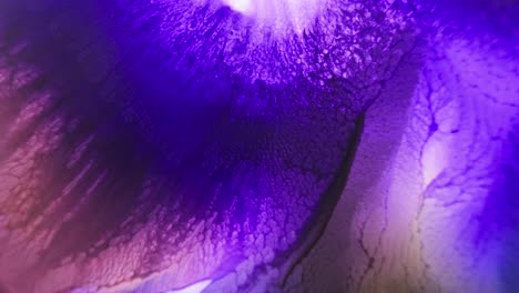 Close-up-of-purple-ink-spreading-in-water-with-fractal-like-patterns-emerging