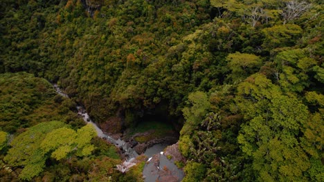 4k-Aerial-View-of-Tropical-Jungle,-Waterfall-and-Wild-Birds