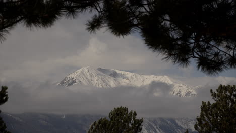 Schneebedeckter-Berg,-Gesehen-Durch-Bäume-An-Twin-Lakes,-Colorado,-Mit-Vom-Wind-Verwehten-Blättern-Im-Vordergrund