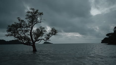 Solitary-tree-in-ocean-waves,-Koh-Chang-Island,-Thailand,-with-dark-clouds-and-distant-horizon