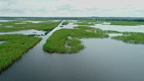 Serene-wetland-with-lush-greenery-and-meandering-water-channels,-aerial-view