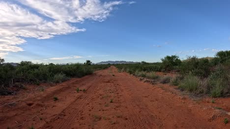 The-beauty-of-the-Southern-Kalahari