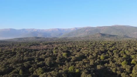 Vuelo-De-Drones-Descendiendo-Sobre-Un-Bosque-En-Un-Valle-En-España-Con-Maravillosas-Montañas-Al-Fondo
