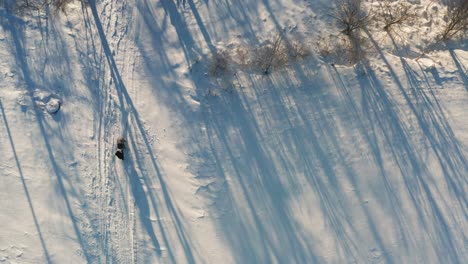 Aerial-top-down-view-of-person-walk-with-baby-carriage,-long-tree-shadow,-winter