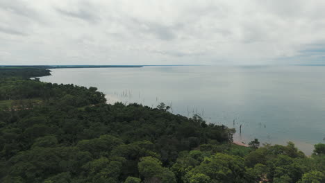Selva-Y-El-Inmenso-Río-Paraná